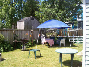 backyard3.jpg